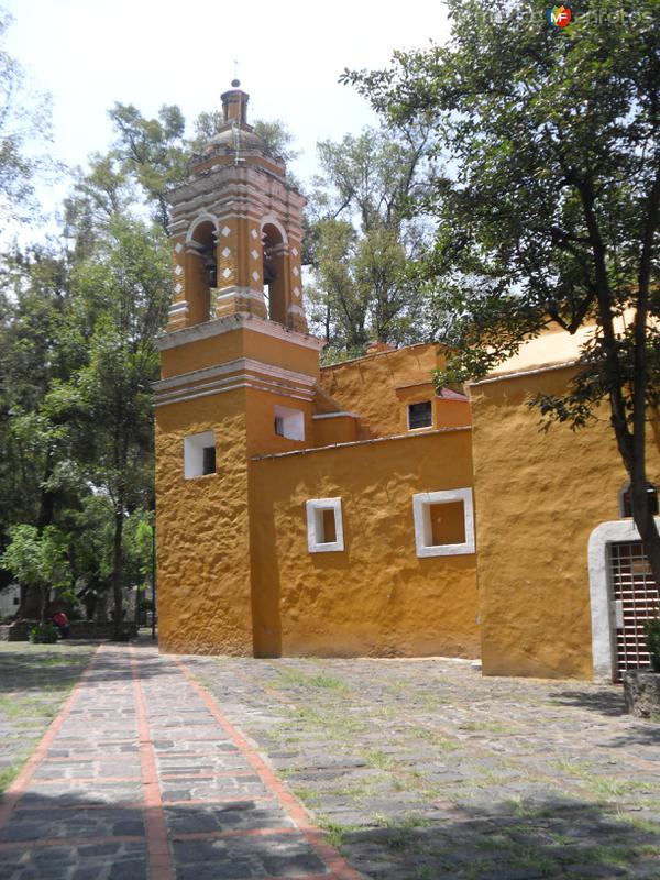 Coyoacán