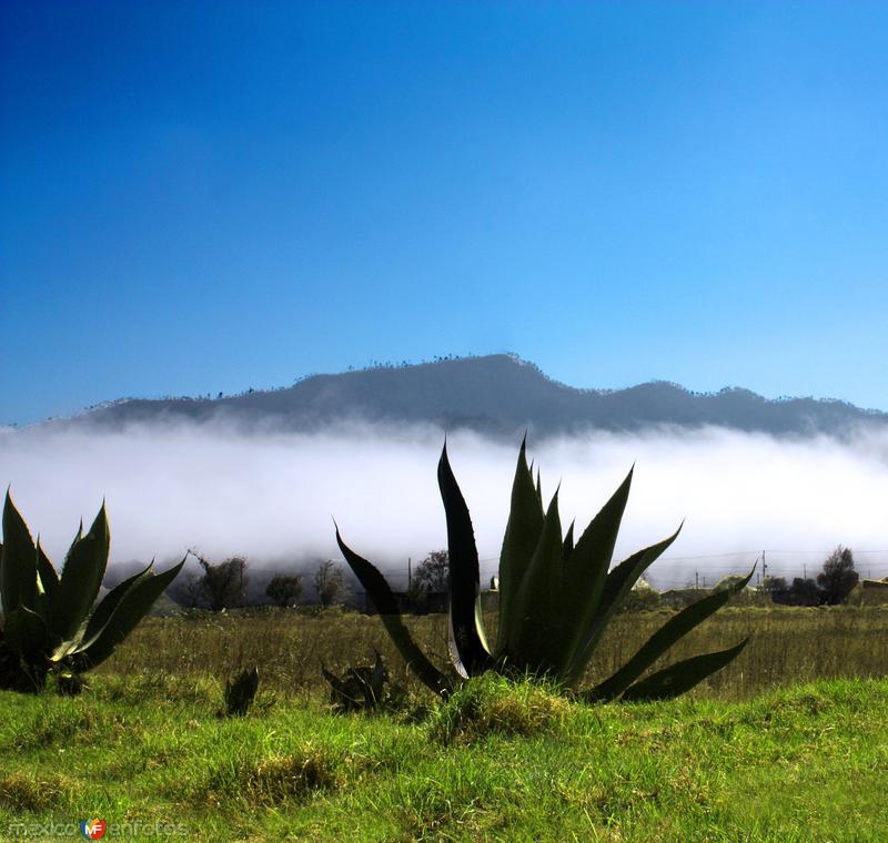 Donde las nubes bajan a saludarte