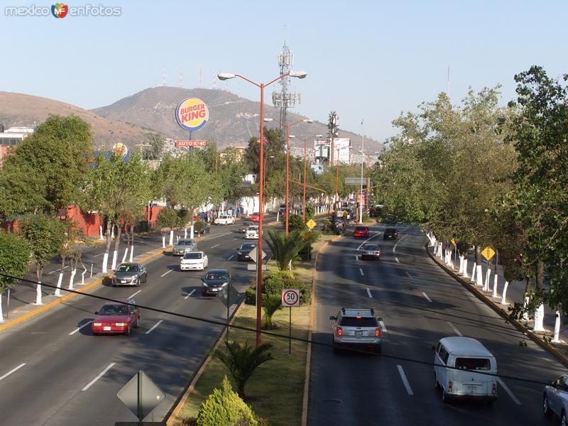 Av. Mario Colin