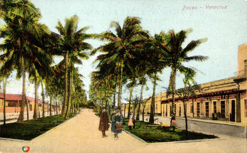 Paseo de las Palmas