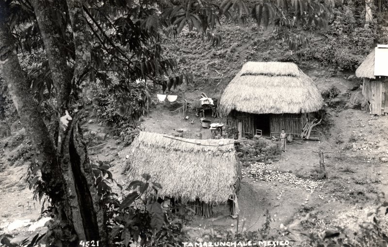 Chozas campesinas en Tamazunchale