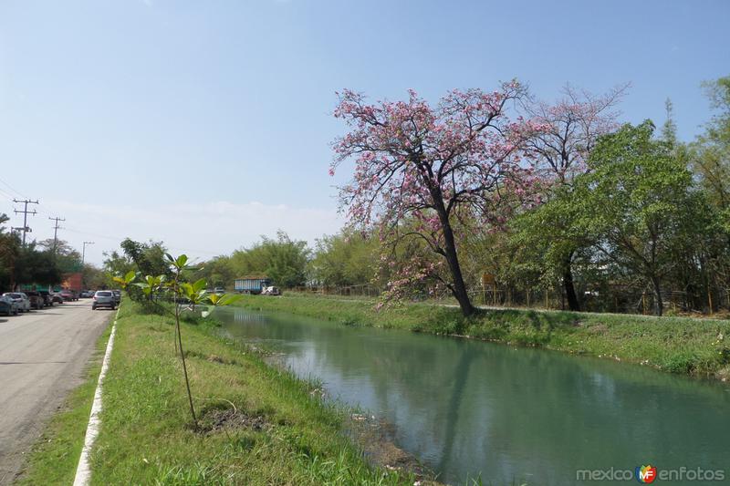 Canal de Riego