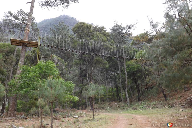 Puente colgante en Centro Ecoturístico Tulimán. Marzo/2014