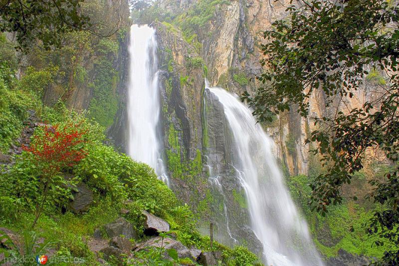 La espectacular belleza de las Cascadas de Quetzalapan