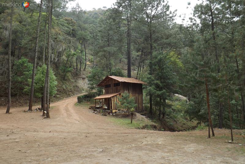 Centro ecoturistico Cascadas de Tulimán. Marzo/2014