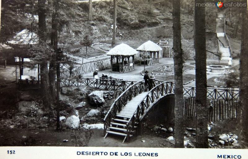 Desierto de los Leones