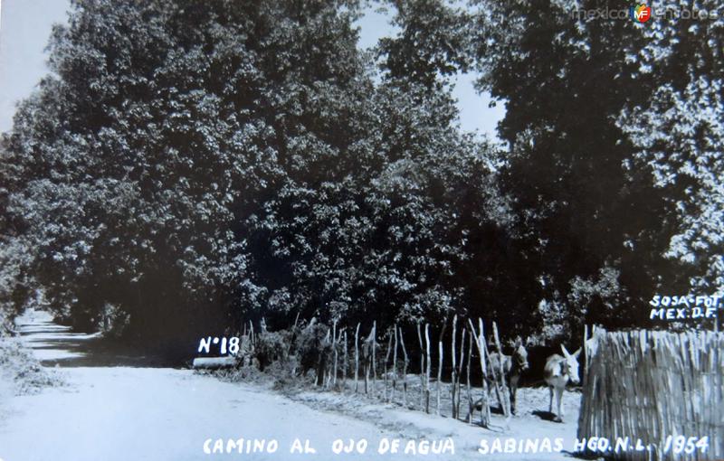 Camino al Ojo de Agua