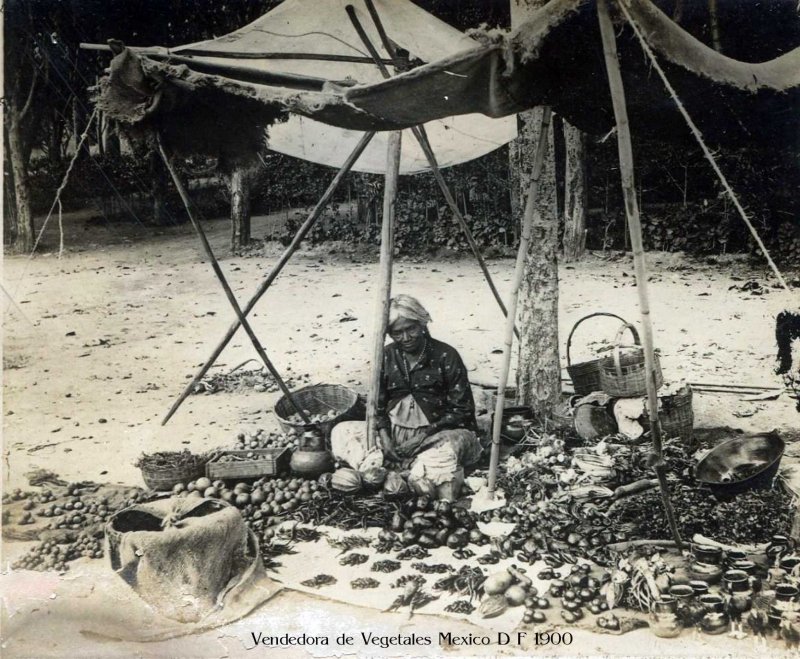 Vendedora de Frutas en el Pedregal de San Angel