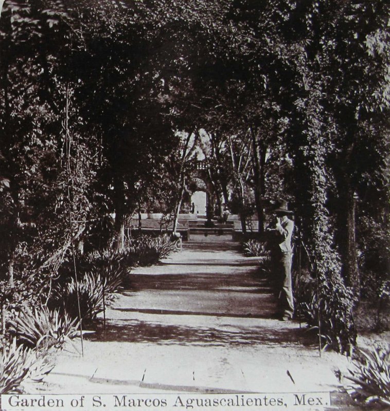 Jardin de San Marcos