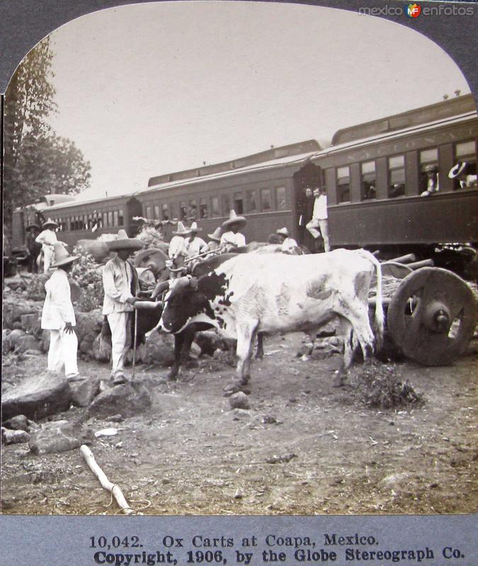 Carreta de Bueyes en Villa Coapa