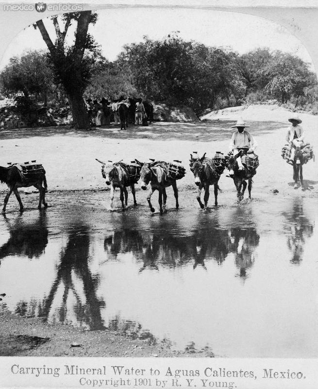 Vendedoresde Agua y Lena