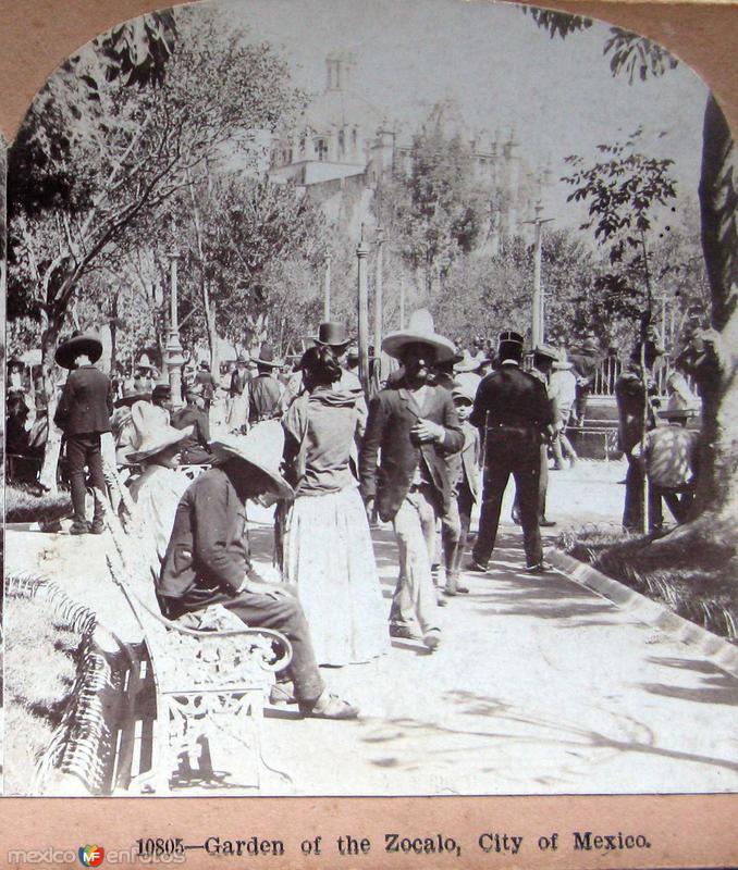 Jardin en el Zocalo