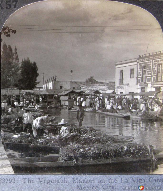 Mercado de Vegetales