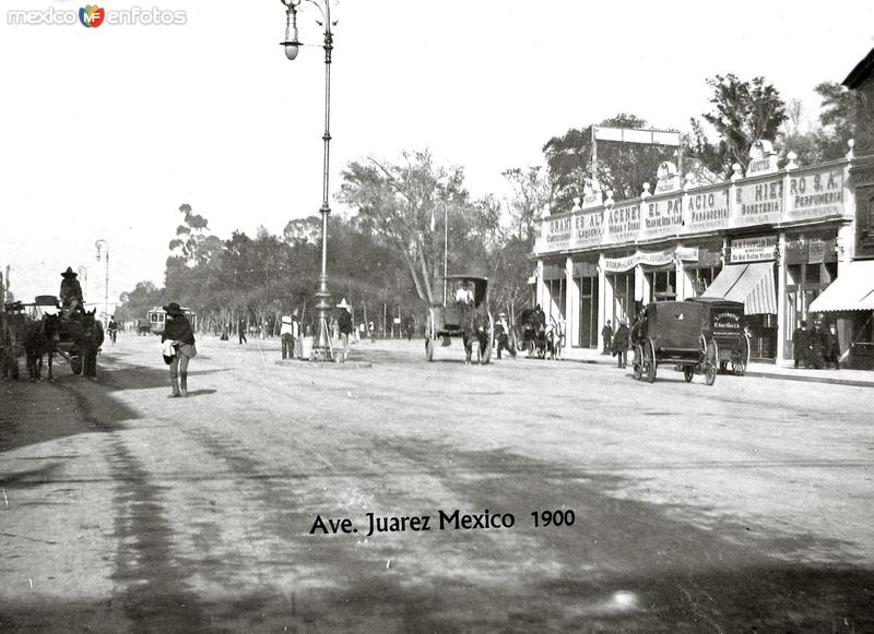 Avenida juarez