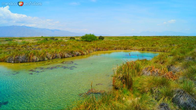 POZA AZUL Y CARRANZA