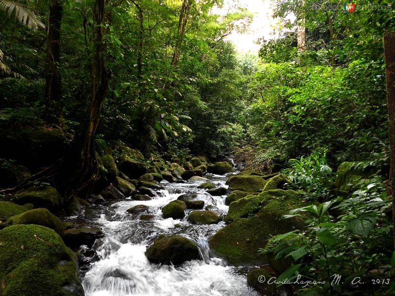 Reserva Ecológica Benito Juárez