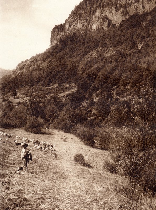 La Cañada, en la Delegación Contreras (circa 1920)