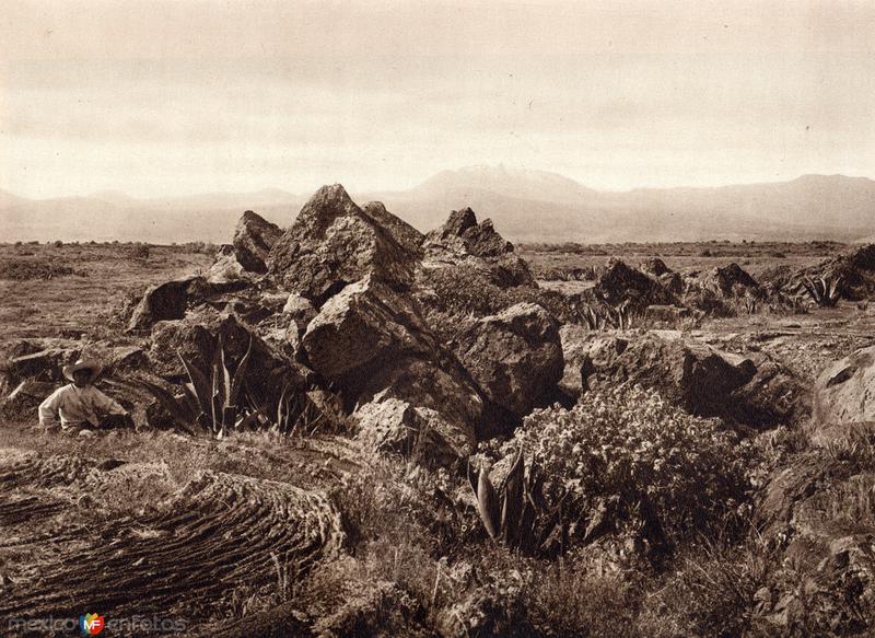 El Pedregal (circa 1920)