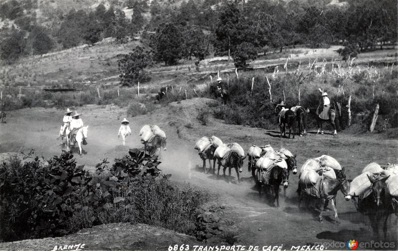 Transporte de mercancías en el interior del país (circa 1920)