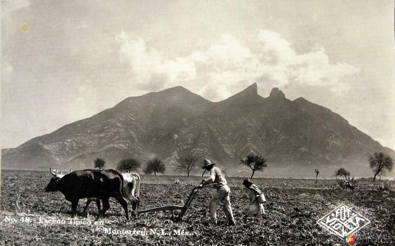 Cerro de la Silla Vista Tipica