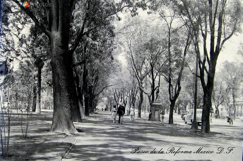 Paseo de la Reforma