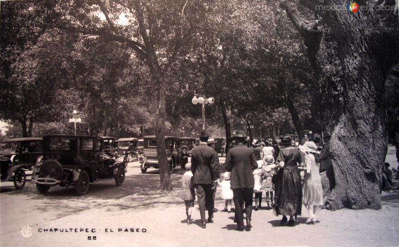 El Paseo Chapultepec