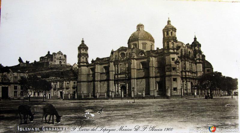 Basilica de Guadalupe