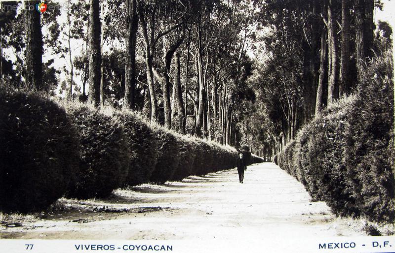 Viveros de Coyoacan