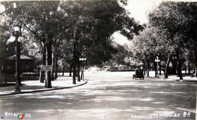 Bosque de Chapultepec