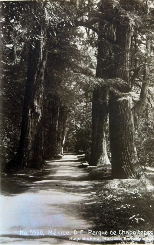 Parque de Chapultepec por HUGO BREHME