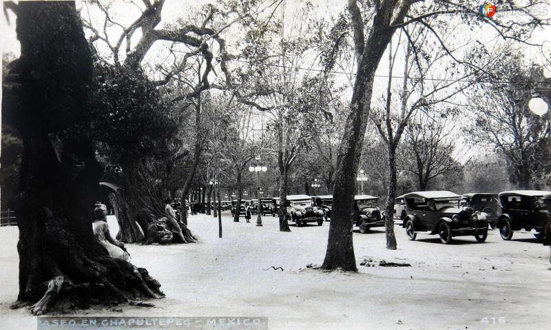 Paseo en Chapultepec