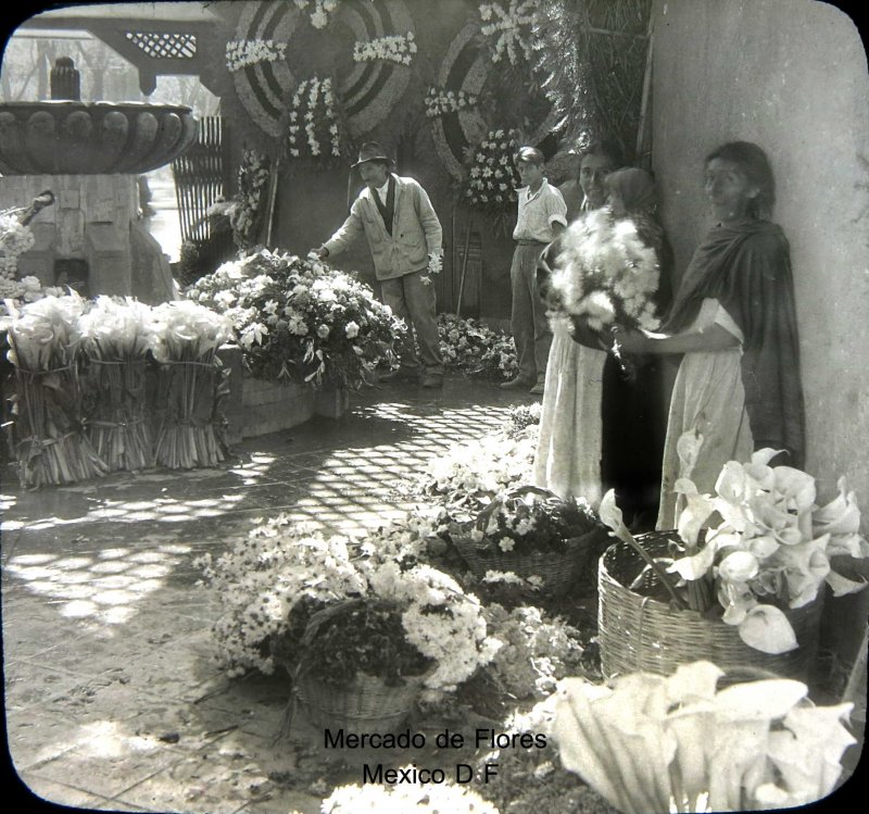 Mercado de las Flores