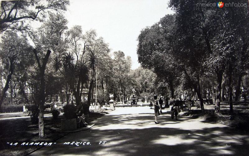 La Alameda