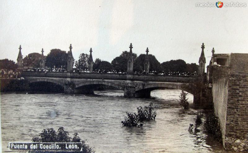 PUENTE DEL COECILLO