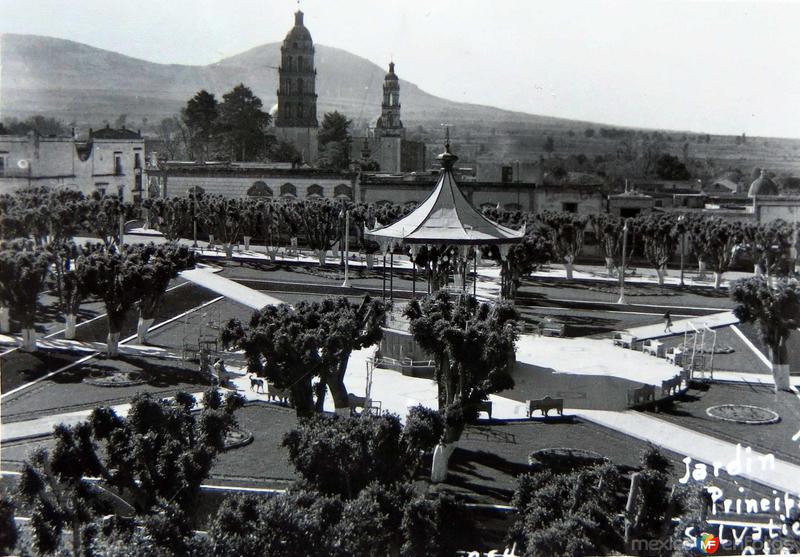 JARDIN Y PLAZA