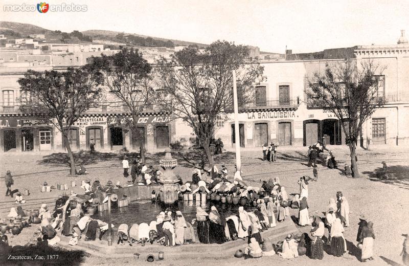 Zacatecas, fuente pública