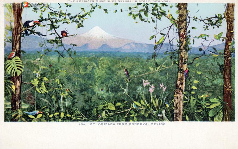 El Pico de Orizaba, desde Córdoba