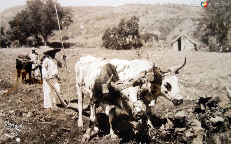 ARANDO LA TIERRA