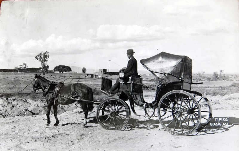 Carreta típica