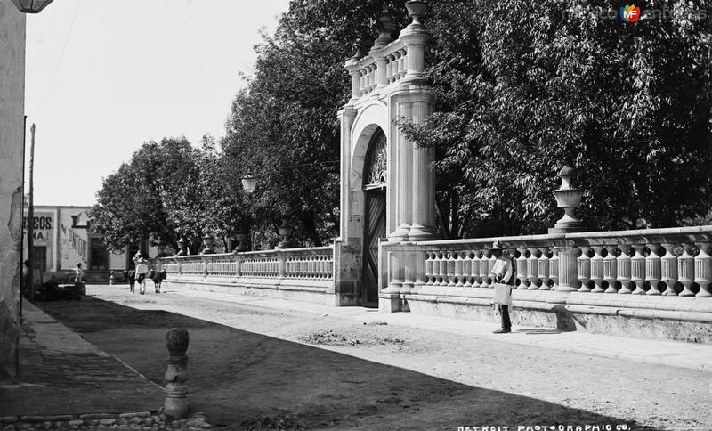 Jardín de San Marcos (por William Henry Jackson, c. 1888)