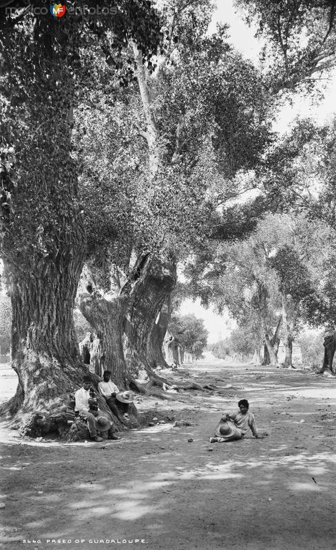 Paseo de Guadalupe (por William Henry Jackson, c. 1888)