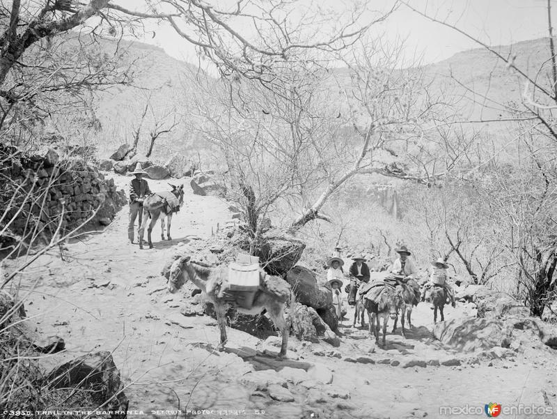Camino en la Barranca de Oblatos (por William Henry Jackson, c. 1887)
