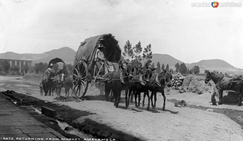 Regresando del Mercado (por William Henry Jackson, c. 1888)