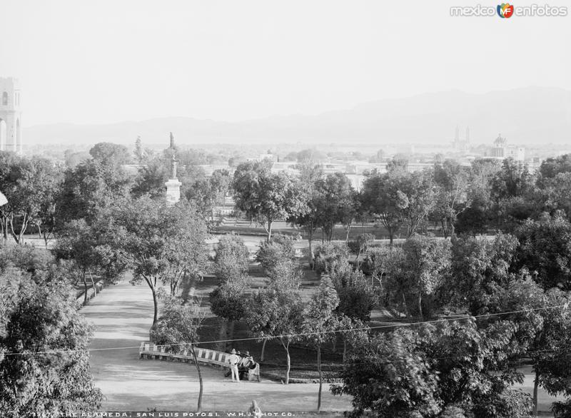 Alameda de San Luis Potosí (por William Henry Jackson, c. 1888)