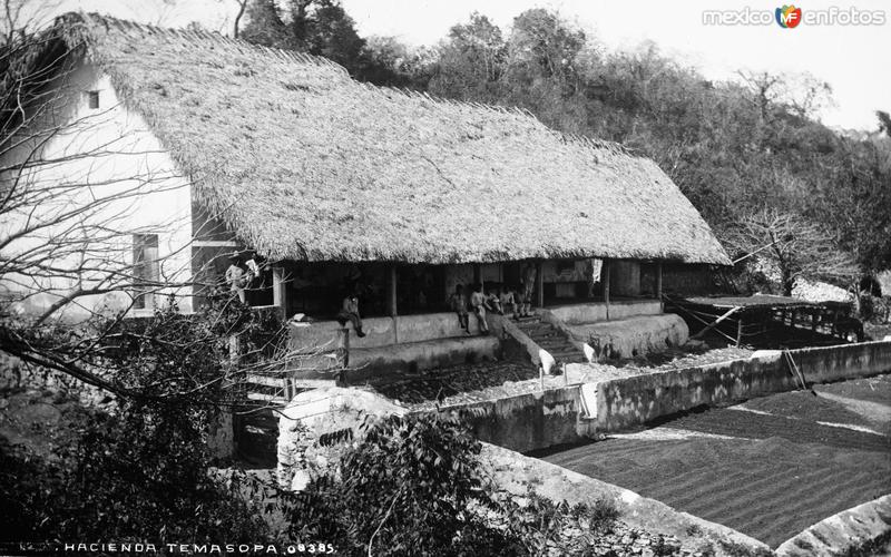 Hacienda en Tamasopo (por William Henry Jackson, c. 1888)