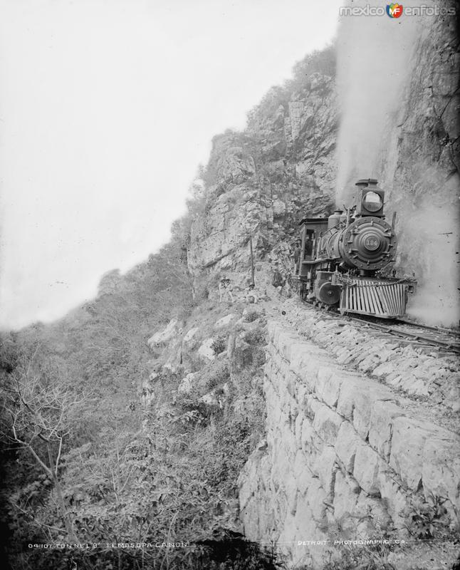 Viaducto del Ferrocarril (por William Henry Jackson, c. 1888)