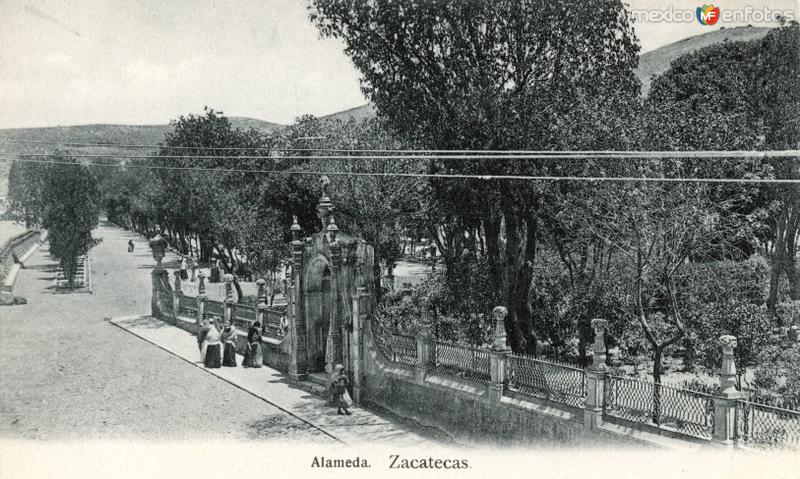 Alameda de Zacatecas