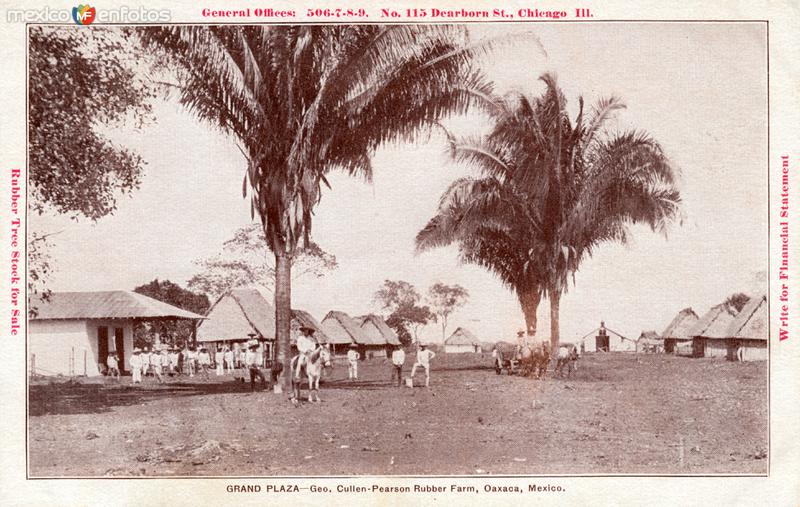 Hacienda Cullen Pearson Rubber Farm: La Plaza