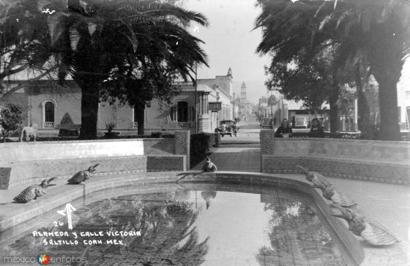 Alameda y Calle Victoria