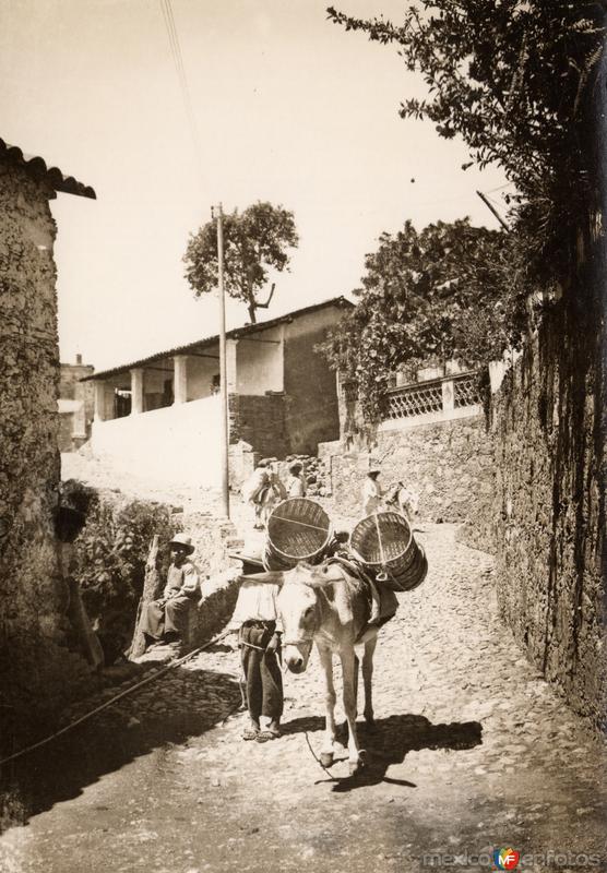 Arriero en Taxco